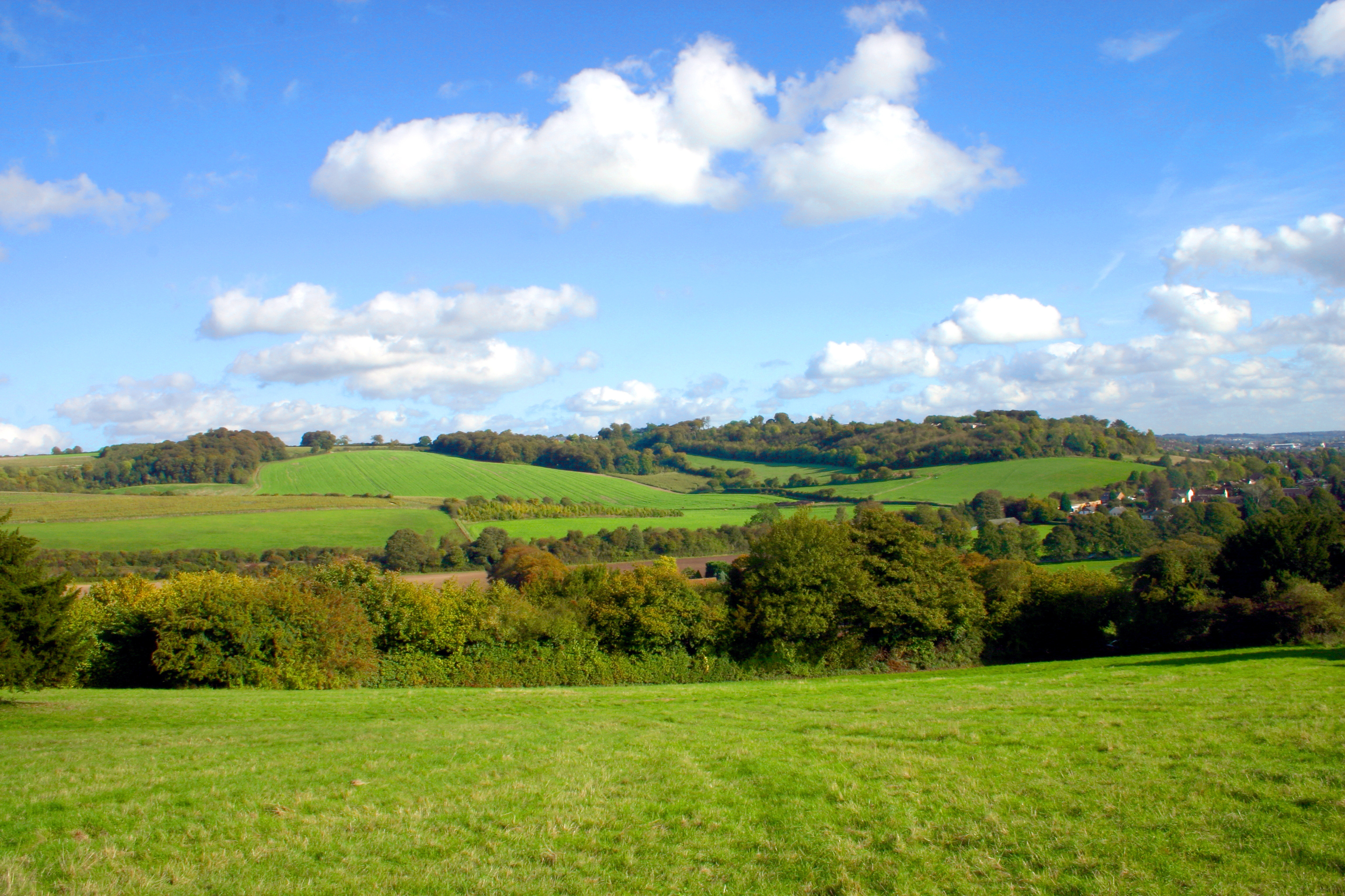 Fields and Hills